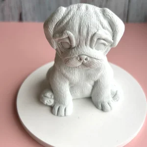 Fiel Amigo canino 3D 🐾🐾